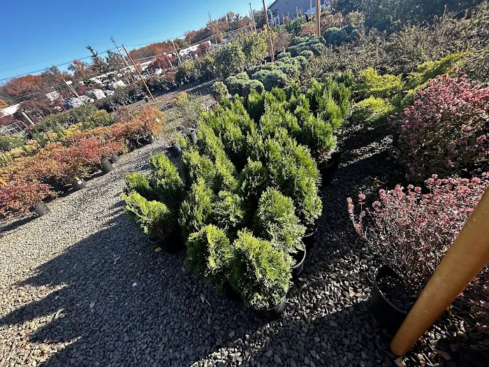 bonillas landscaping 1