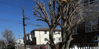 bonillas landscaping