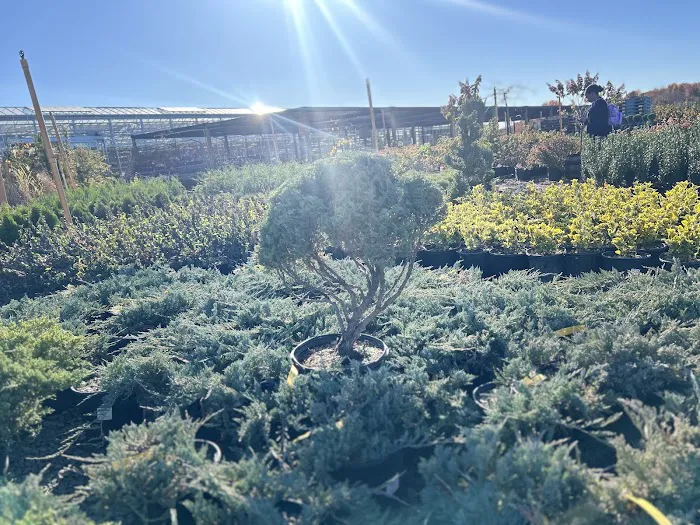 bonillas landscaping 2