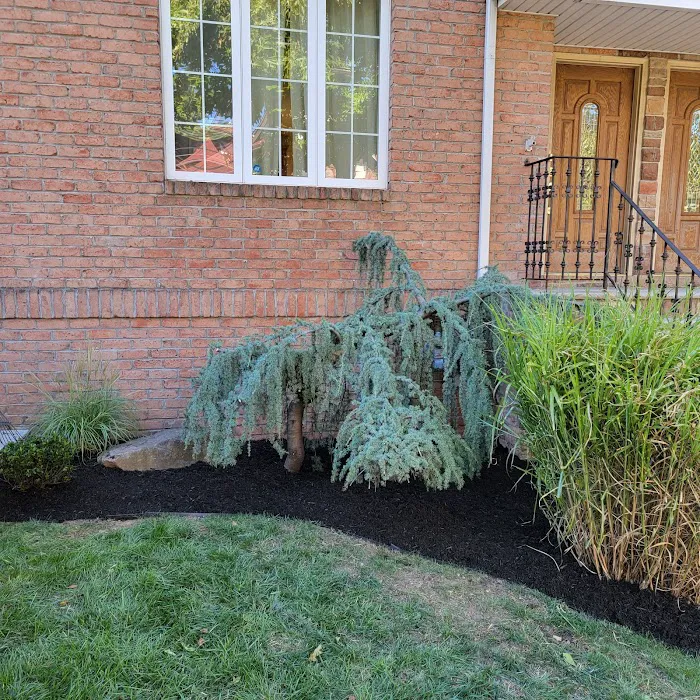 Steve's Landscaping & Lawncare Inc. 2