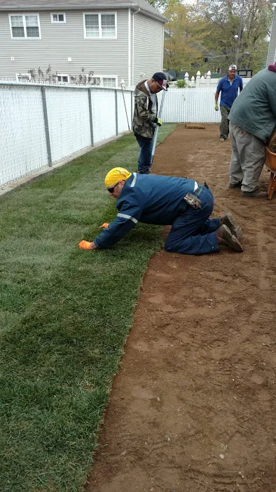 Steve's Landscaping & Lawncare Inc. 6