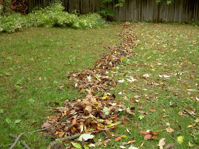 Landscapers Yonkers 5