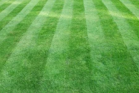 Cardinal Landscaping Services
