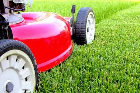 Fred's Lawn Services. LLC