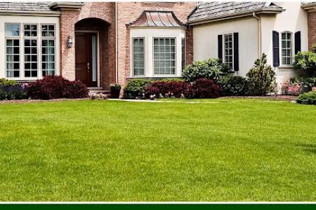 Simply The Best Lawns