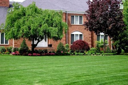 AAG Lawnman of North Middletown