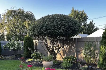 Simply Soil Land & Lawn Care