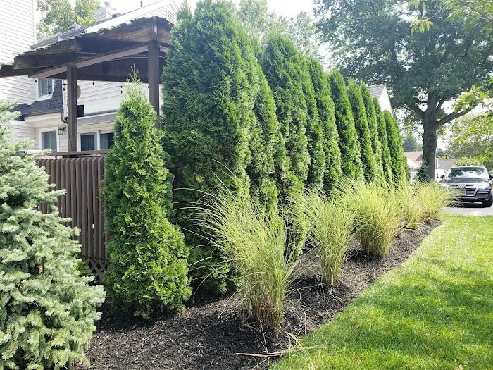 Simply Soil Land & Lawn Care 2