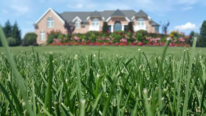 Simply Soil Land & Lawn Care 7