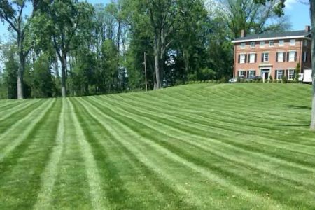 Second Nature Lawn Care, Inc.