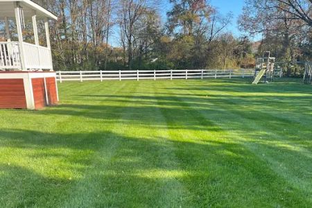 Strong Roots Turf Management LLC