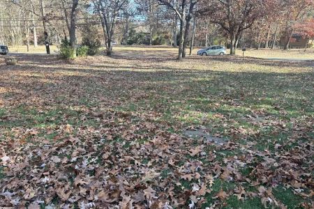 Ralphs landscaping & lawn care