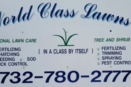 World Class Lawns