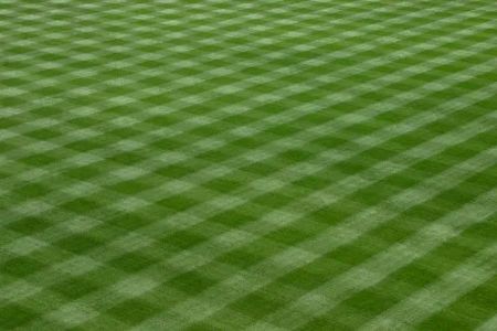 Lambo Landscaping LLC