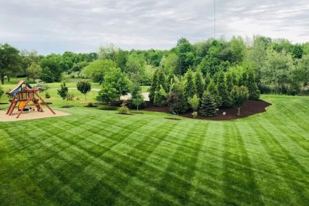 MC LANDSCAPING AND TREE SERVICE