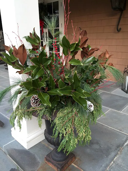 Terracare Landscaping 1