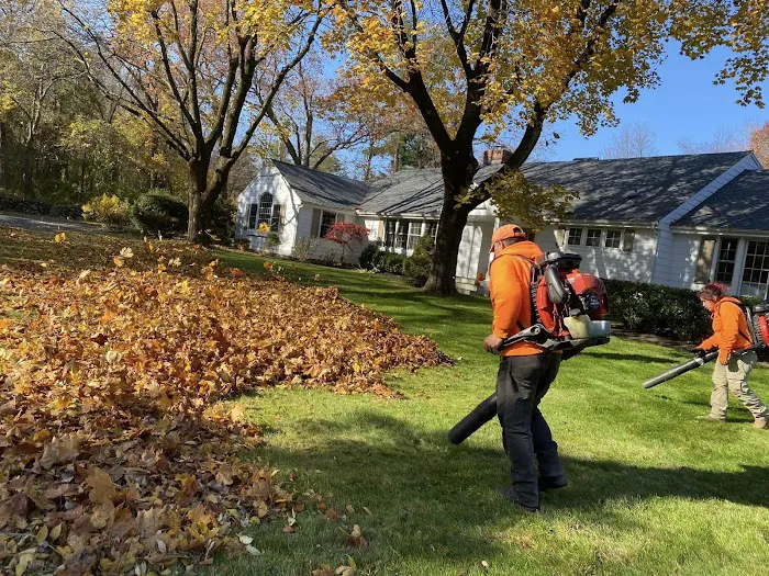 N. Joel Landscaping LLC 3