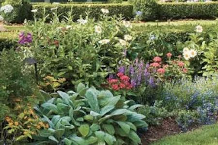 MONTES Lawn Care & Landscaping LLC