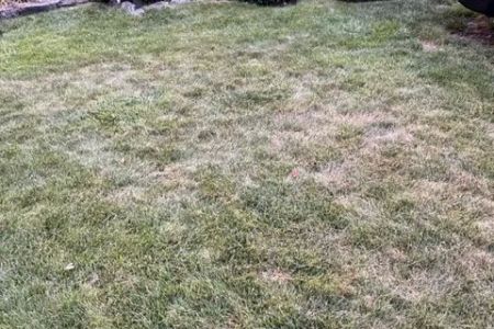 Kelly Green Lawn Care
