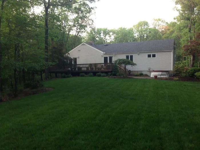 GreenMax Lawn Care 2