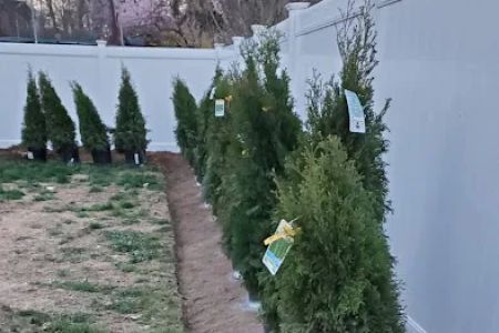 Elder's Lawn Care