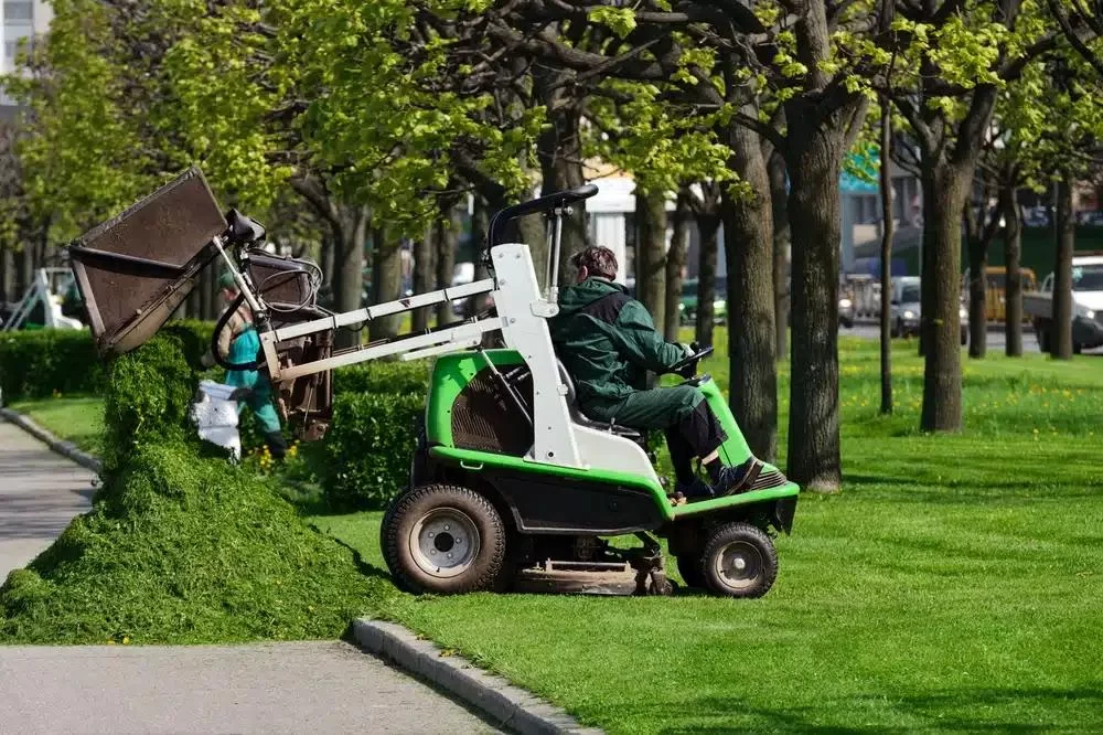 Customized Lawn Care Plans: Achieving Your Dream Lawn with Tailored Services