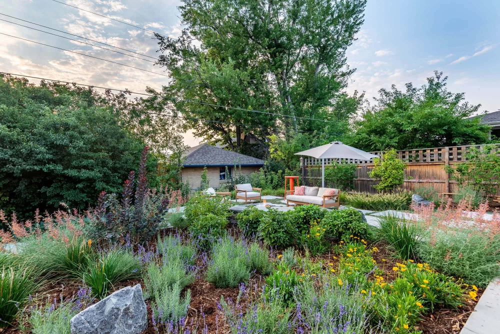 The Amazing Benefits of Xeriscaping Your Lawn