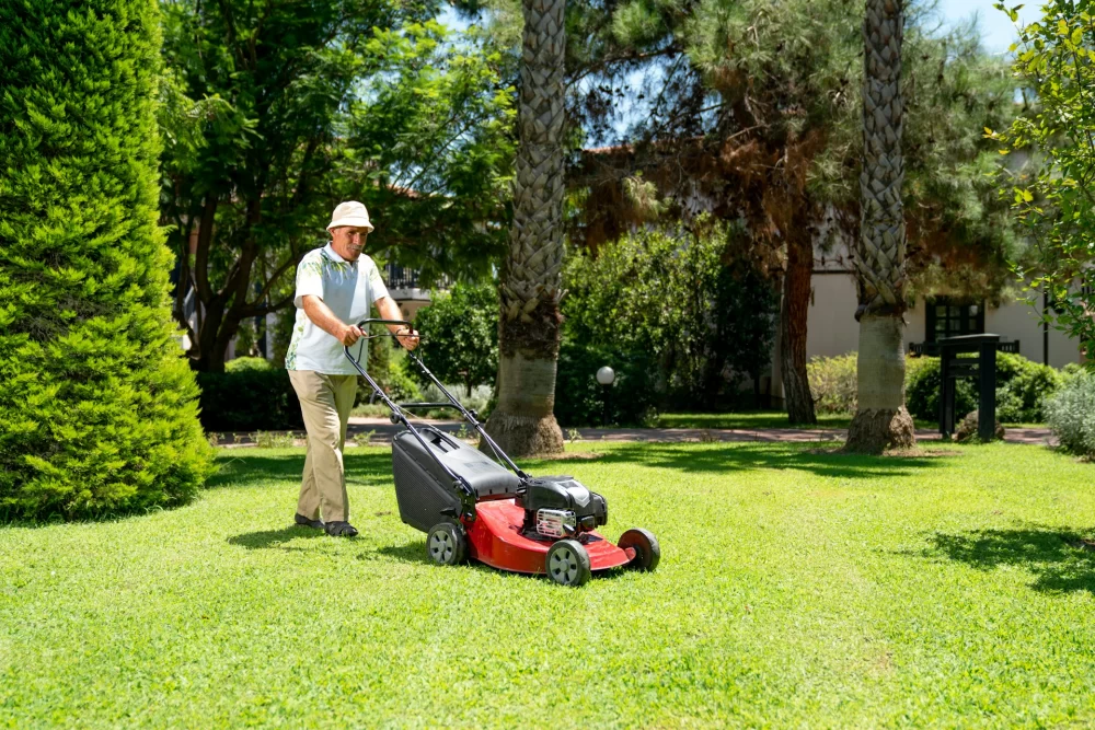 Lawn Fertilization Services Near Me: Why It’s Essential for Healthy Lawns