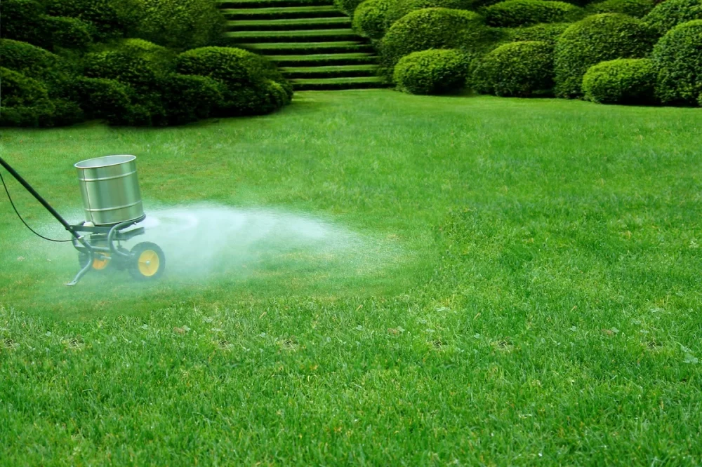 Essential Lawn Care Tips for Maintaining Your Grass During Winter