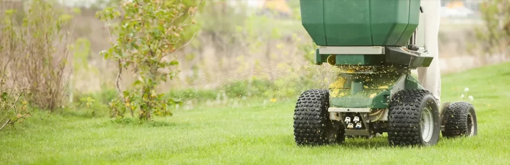 Top Lawn Care Services with Organic Fertilization Options for a Healthier Lawn
