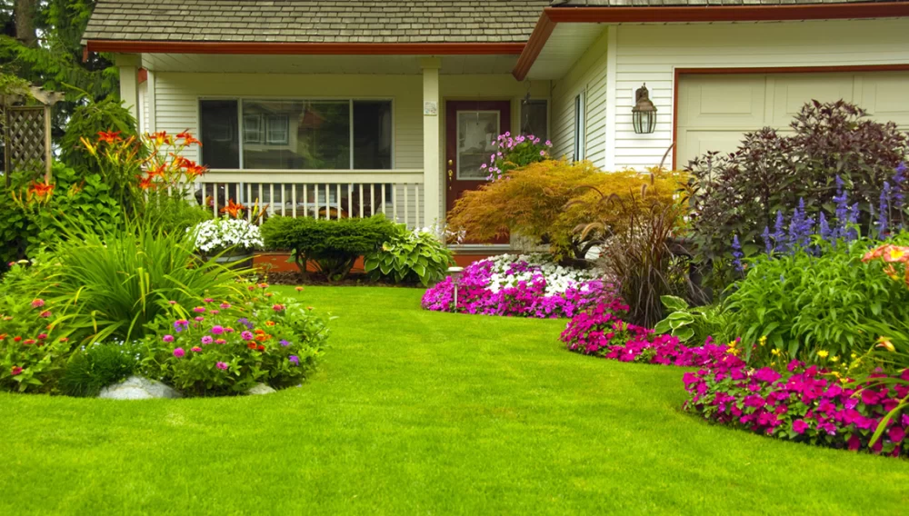 Professional Lawn Care for a Lush, Green Lawn All Year Long