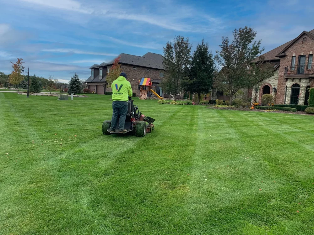 Choosing the Right Lawn Care Provider for Your Property