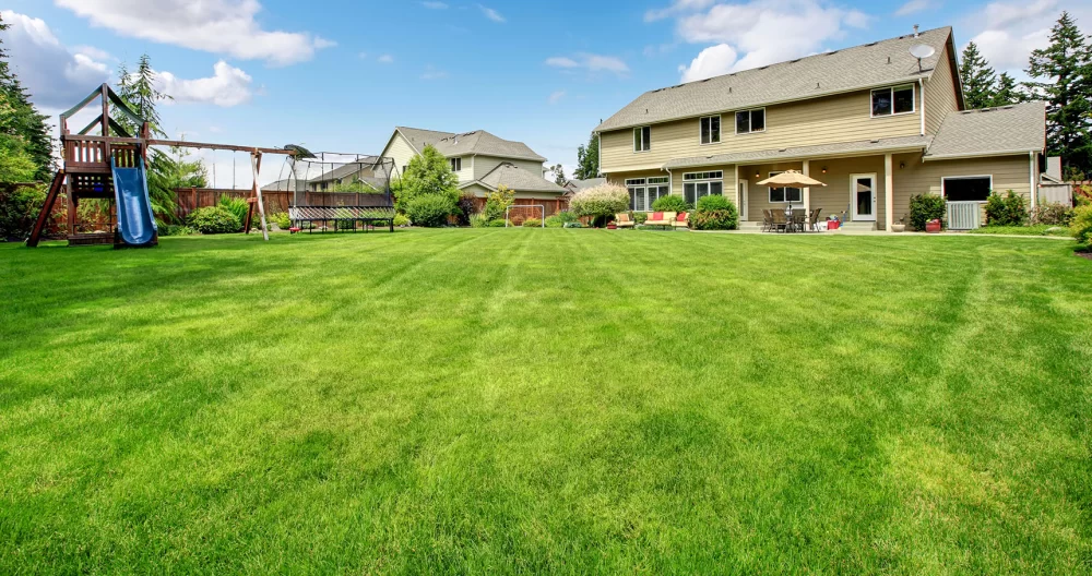 Finding the Right Lawn Care Program for Your Yard Size: A Complete Guide