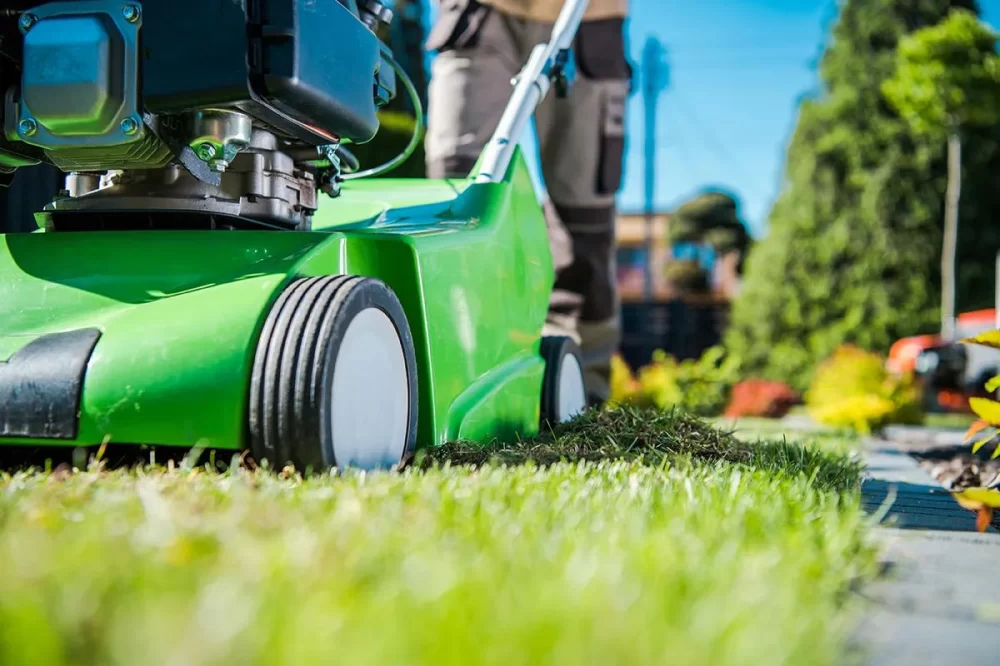 Lawn Dethatching Services for a Healthier Lawn: Boost Your Turf’s Vitality