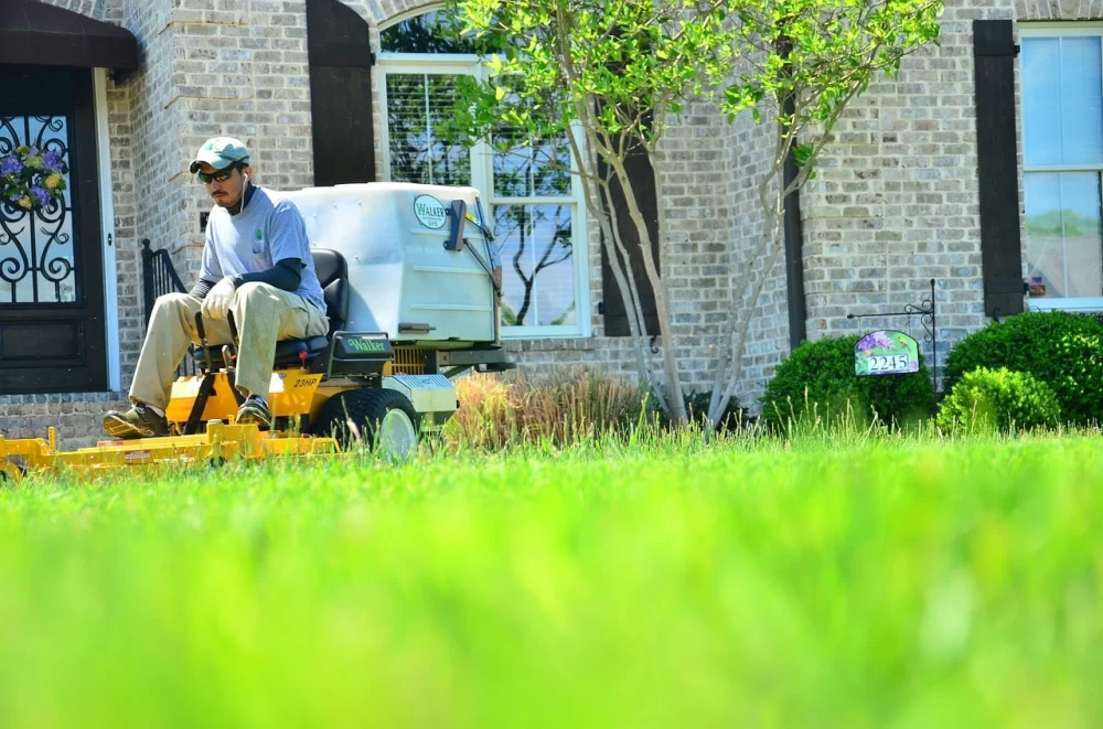 Best Lawn Care Services for Weed Control: Expert Solutions for a Beautiful Lawn