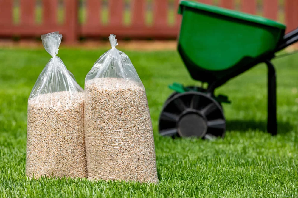 Affordable Lawn Care Programs for Busy Homeowners in the U.S.