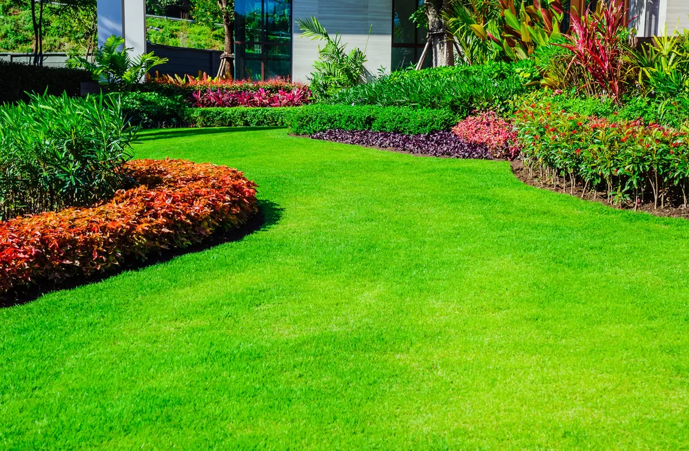 Lawn Care Tips for Different Climates and Weather Conditions in the US