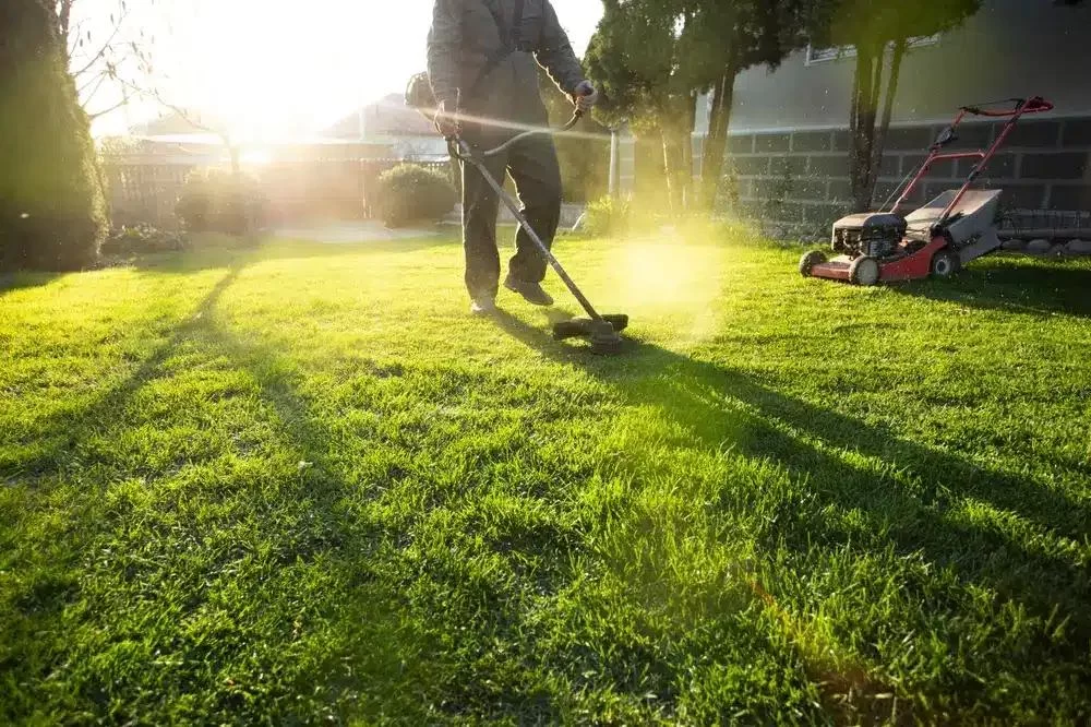 Custom Lawn Care Services & Tailored Maintenance Plans for Every Homeowner