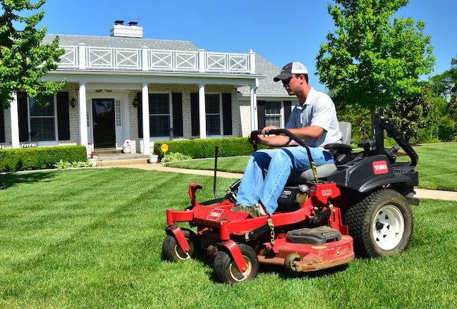 Best Lawn Care Services for Affordable and Professional Help