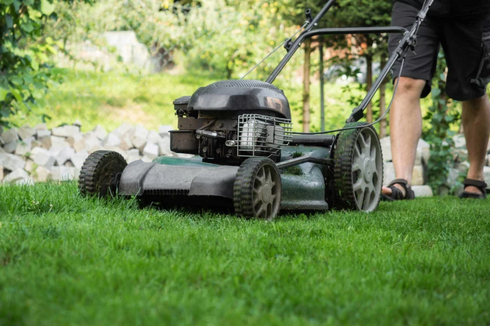 How to Protect Your Lawn from Extreme Weather: Tips for Keeping Your Lawn Healthy