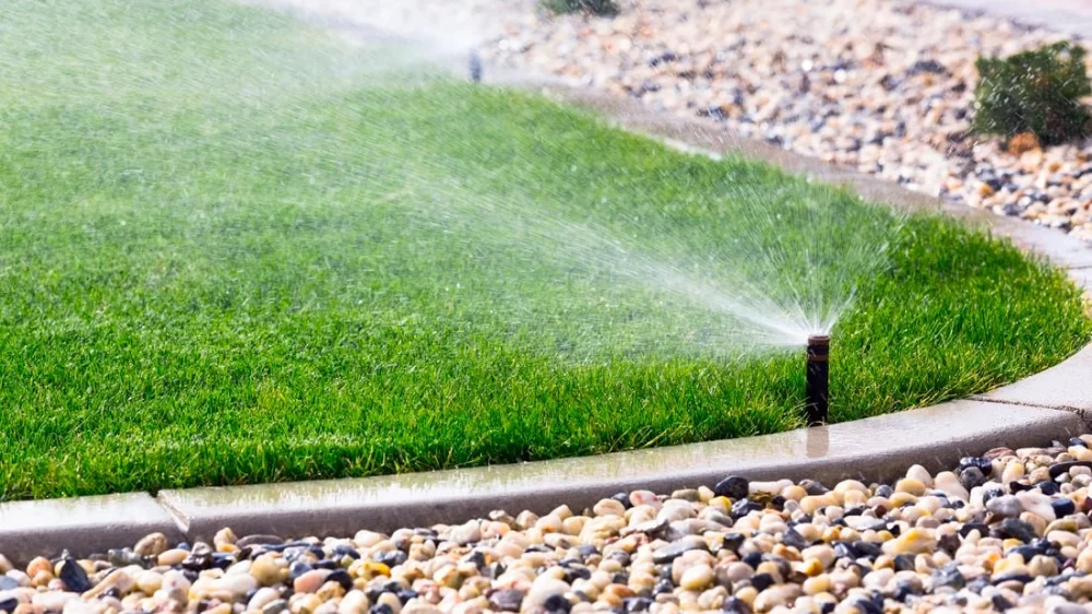 How to Renovate a Patchy Lawn: Expert Tips for a Lush, Green Yard