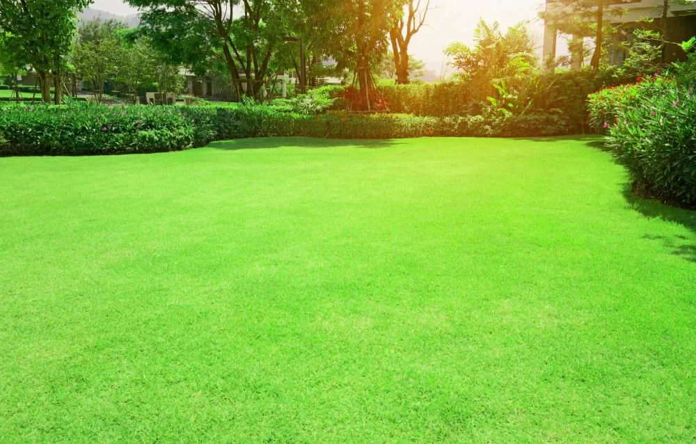 How to Prepare Your Lawn for Winterization: Essential Tips for Healthy Grass