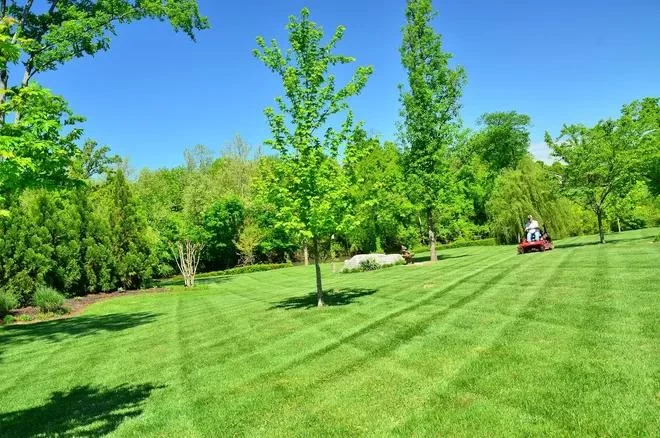 How to Apply Fertilizer Evenly: Tips for a Lush Lawn and Garden