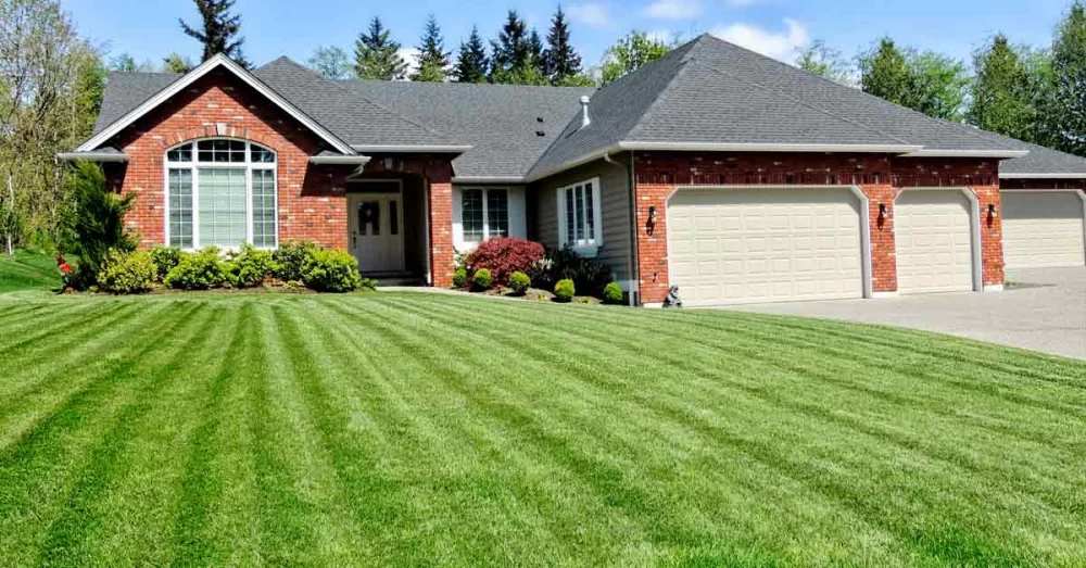 Tips for Overseeding Your Lawn in Fall – A Complete Guide to a Lush, Healthy Lawn