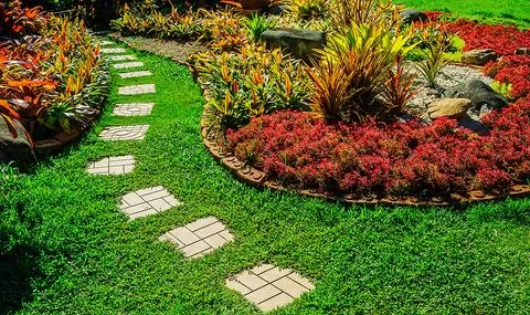 Creating a Pollinator-Friendly Lawn: Tips for a Sustainable Garden
