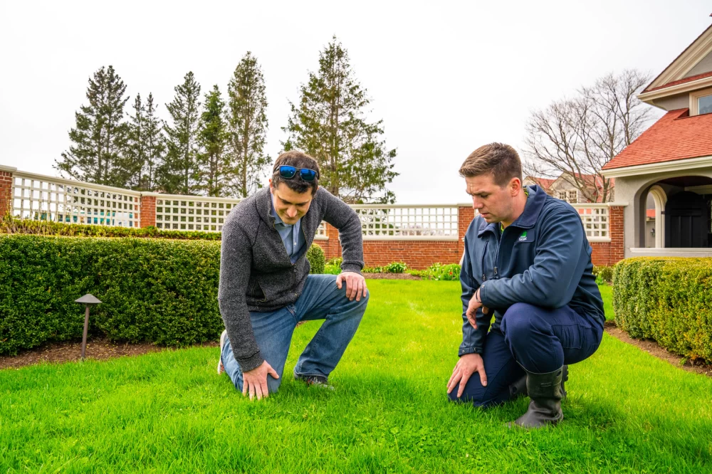 Expert Lawn Care Tips for Healthy, Thick Grass in the US