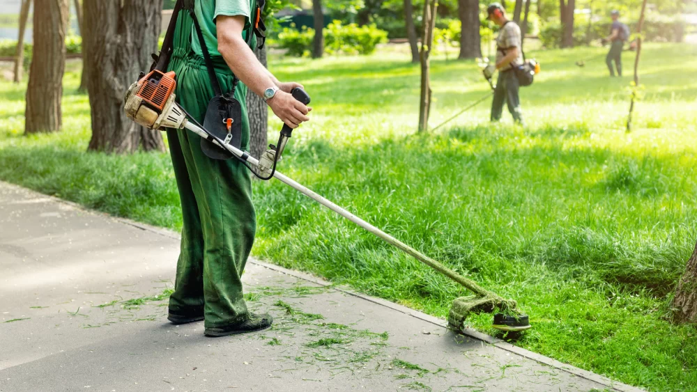 Professional Lawn Care for Large Properties: Expert Tips & Services