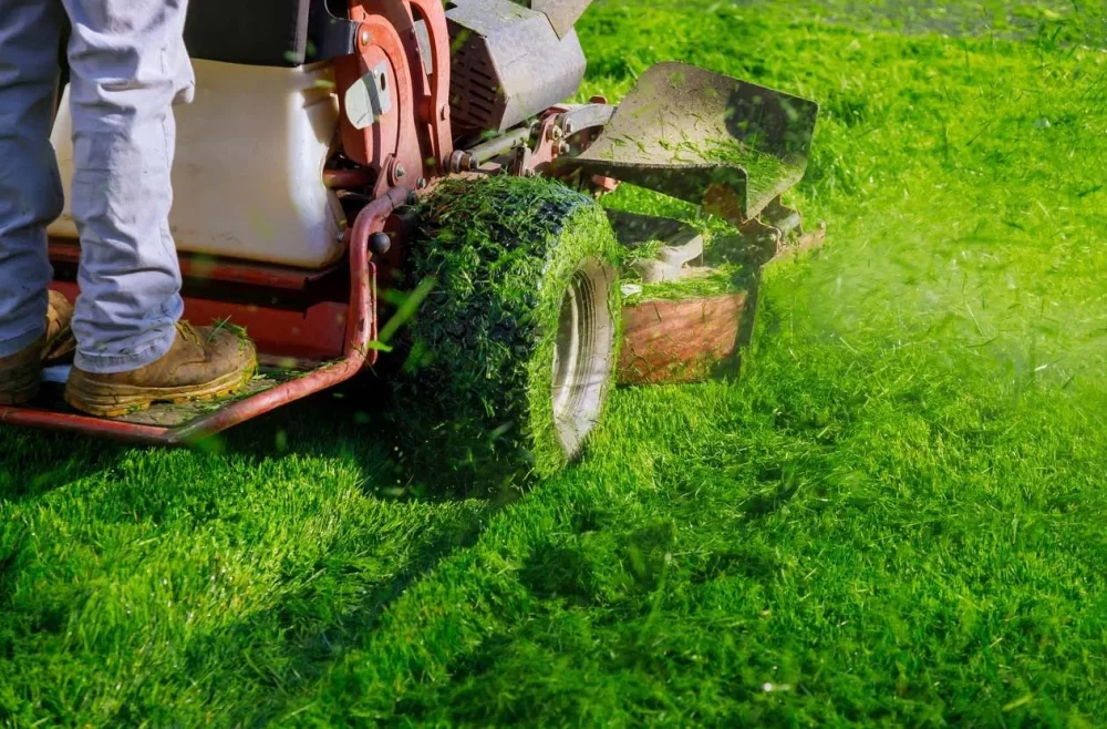 Lawn Care Packages for Every Budget – Affordable Lawn Solutions