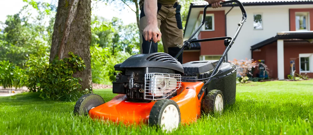 Top Tips for Restoring a Neglected Lawn in the U.S.