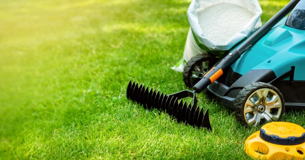 How to Create a Lush, Green Lawn Using Minimal Chemicals